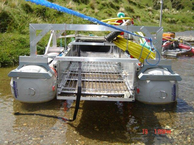 Hauraki Fenders joins the gold rush - July 2016